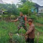 JALIN SILATURAHMI, BABINSA SAMBANGI PETANI CABE SEKALIGUS BERI MOTIVASI DENGAN WARGA BINAAN