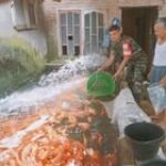 Babinsa Koramil 14/PB Dukung Ketahanan Pangan dengan Dampingi Peternak Ikan Mas di Namorambe