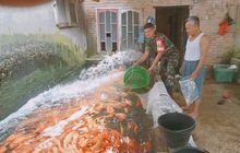 Babinsa Koramil 14/PB Dukung Ketahanan Pangan dengan Dampingi Peternak Ikan Mas di Namorambe