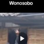 Pembunuh TNI di Wonosobo Kenak Ringkus, Waasintel Kodam IV Diponegoro Putra Sumut Letkol Inf Jhon Young Saragih Torehkan Prestasi