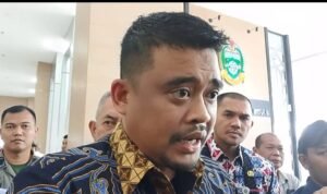 WhatsApp Image 2025-10-30 at 16.31.10