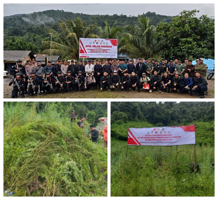 Petugas gabungan dari Bareskrim Polri, TNI, Bea Cukai