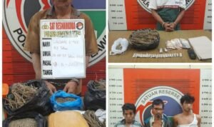 Screenshot_2025-11-13-16-44-25-492_com.whatsapp.w4b-edit