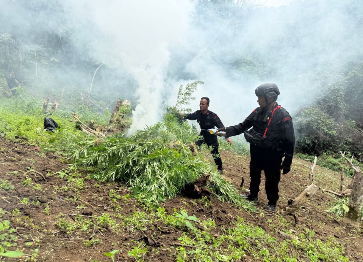 Screenshot_2025-11-13-18-53-13-810_com.whatsapp.w4b-edit