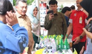 WhatsApp Image 2025-11-12 at 16.22.54