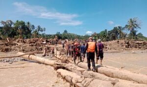 Screenshot_2025-12-04-12-10-37-177_com.whatsapp.w4b-edit