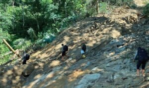 Screenshot_2025-12-07-11-41-30-900_com.whatsapp.w4b-edit