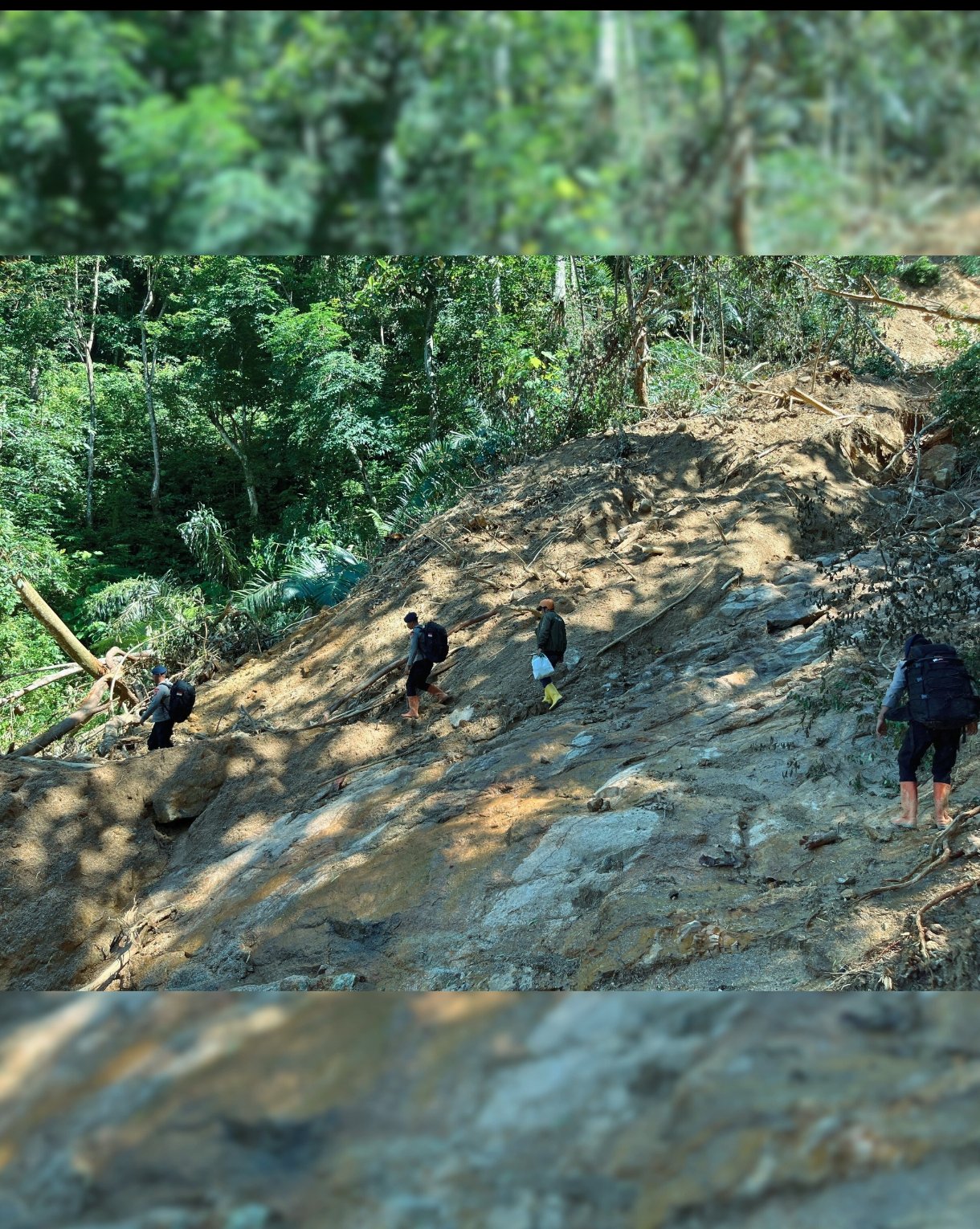 Screenshot_2025-12-07-11-41-30-900_com.whatsapp.w4b-edit