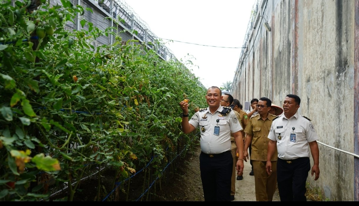 Screenshot_2026-02-04-17-43-31-513_com.whatsapp.w4b-edit