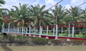 Screenshot_2026-02-28-17-13-34-167_com.whatsapp.w4b-edit