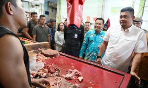 GUBSU KUNJUNGAN PASAR SEI SEKAMBING 05