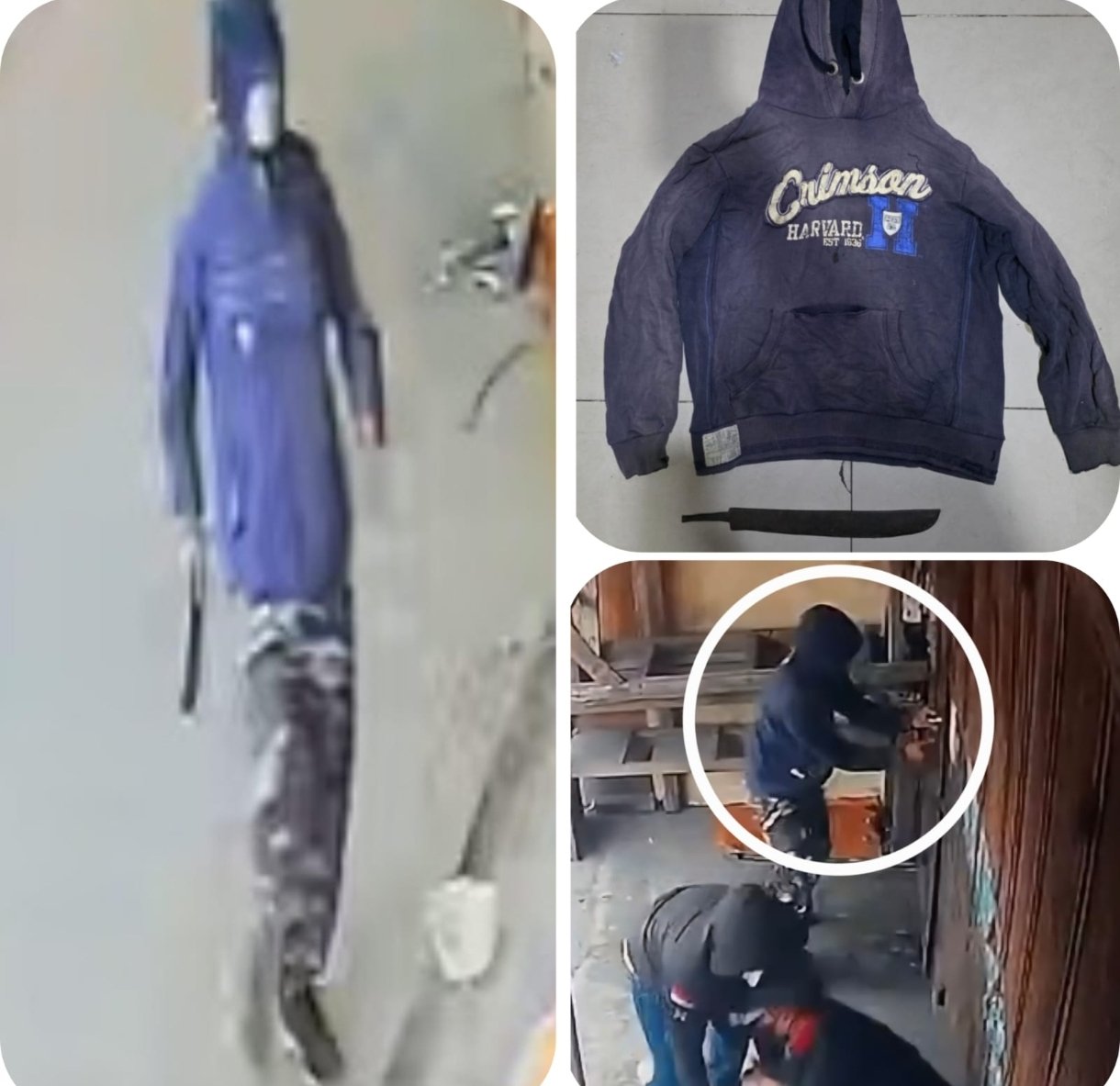 Screenshot_2026-03-15-18-13-46-564_com.whatsapp.w4b-edit