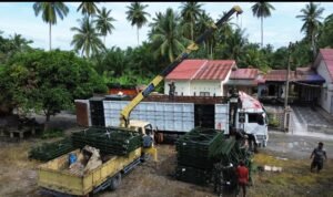 Screenshot_2026-03-30-20-59-33-562_com.whatsapp.w4b-edit