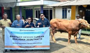 Grup MIND ID Salurkan 1.735 Hewan Kurban Dari Sumatra hingga Papua