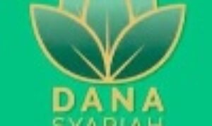 DSI