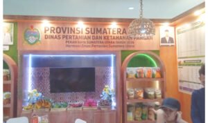 matabangsa