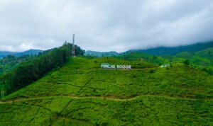 Mengurai Kemacetan Akhir Pekan Mengapa Rancamaya Menjadi Alternatif Rasional Puncak bagi Warga Jabodetabek