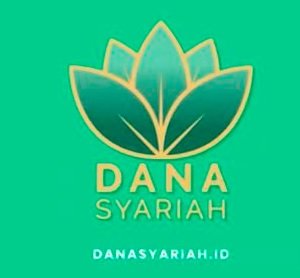 DSI