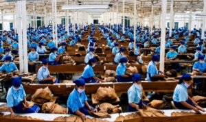 Industri Tembakau PTPN I Regional 5 (1)
