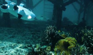 Bathymetry Survey dengan ROV Cara Memetakan Dasar Perairan Secara Akurat
